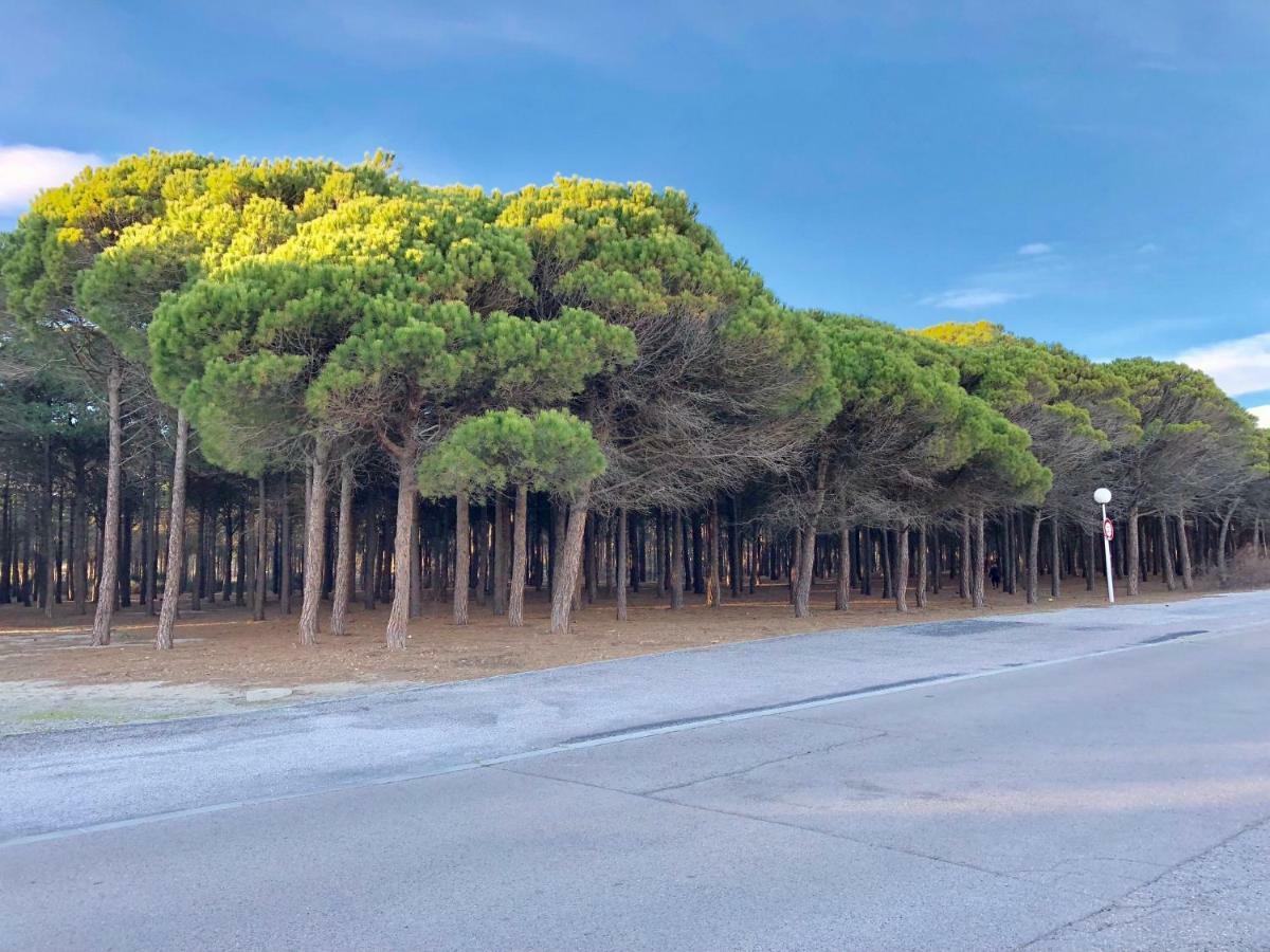 Barcaresa-Villa Vue Mer Acces Direct Plage - Piscine Le Barcarès Eksteriør billede