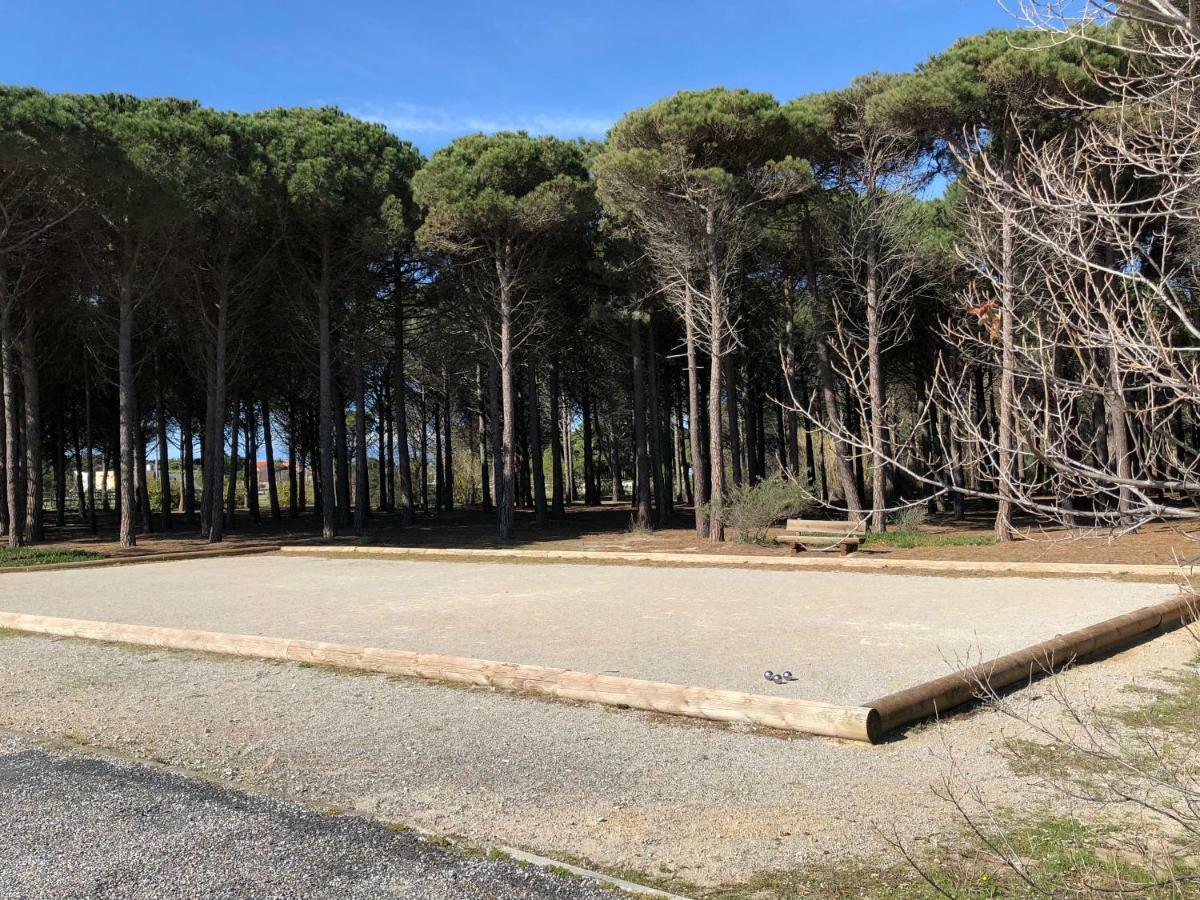 Barcaresa-Villa Vue Mer Acces Direct Plage - Piscine Le Barcarès Eksteriør billede